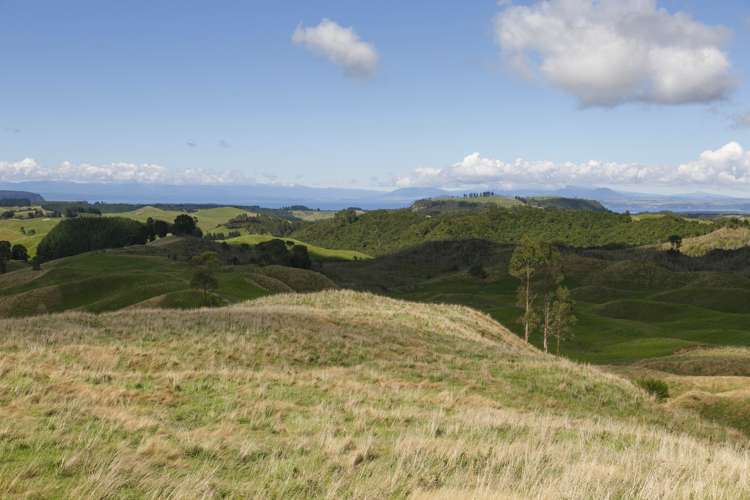 459 Otake Road Marotiri_6