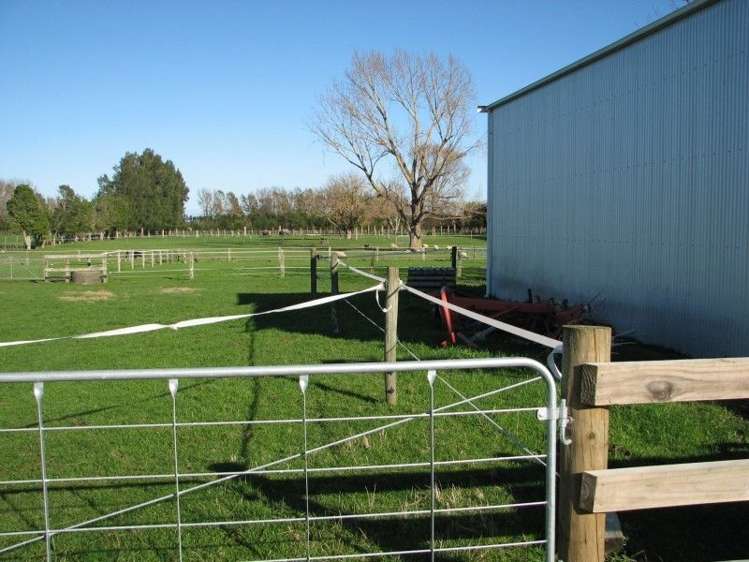 44 Racecourse Road Te Aroha_9