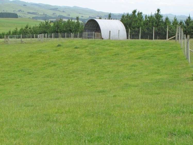 236 Tiratu Road Dannevirke_1