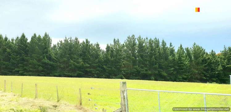 22 Stafford Street Hampden_8