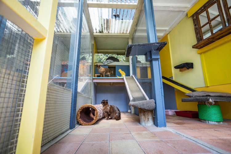 31 Te Puna Quarry Road Wairoa_9