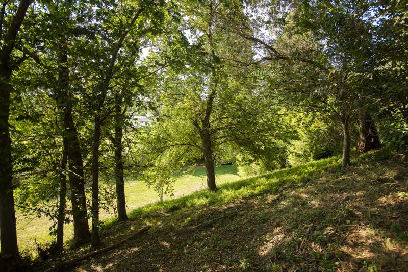 64 Lyell Road Outer Kaiti Gisborne Houses For Sale One Roof