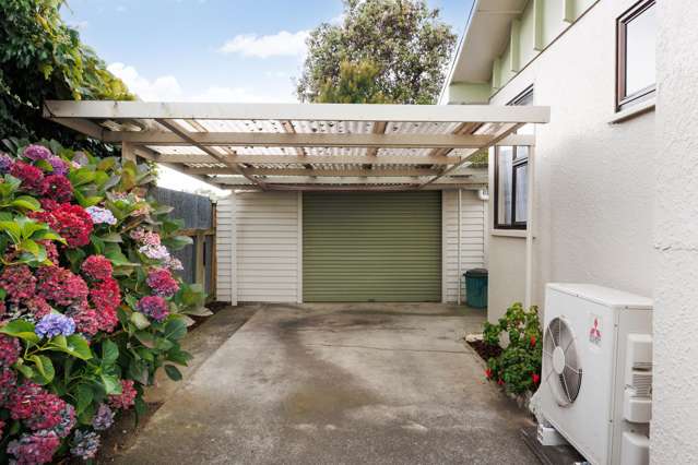3 Hurley Place Awapuni_1