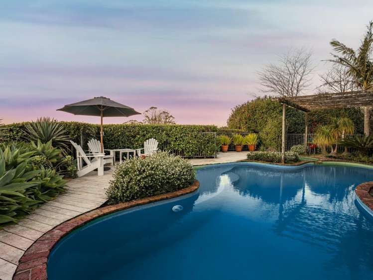 439A Wainui South Road Whakamarama_26