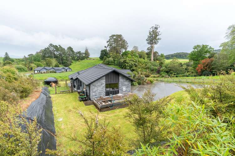 15 Tari Road Pukeatua_9