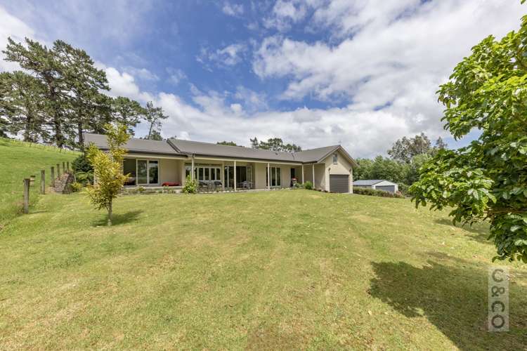 589 Inland Road Helensville_67