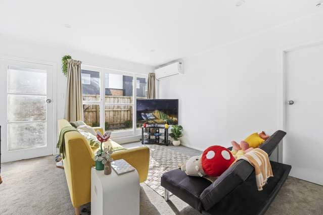 Flat 3/43 Cameron Road Hamilton East_3