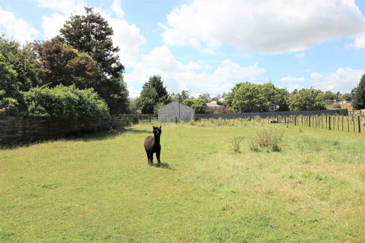 36 Burgoyne Street Woodville_0