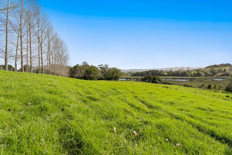 2/399 Whitmore Road Tawharanui Peninsula_19