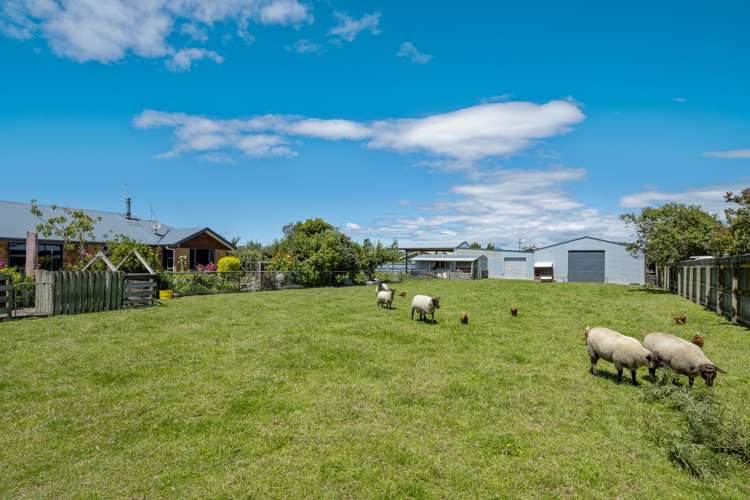 14 Hathaway Street Spring Creek_23