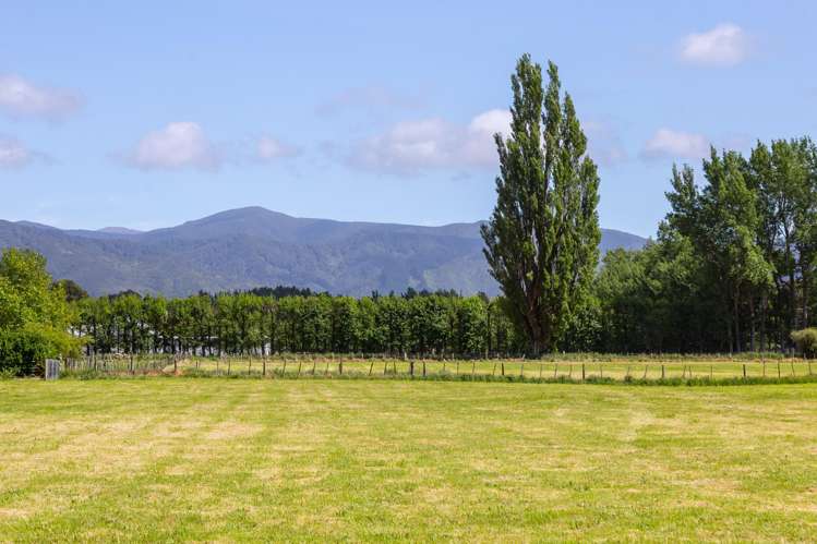 228B Wood Street Greytown_9