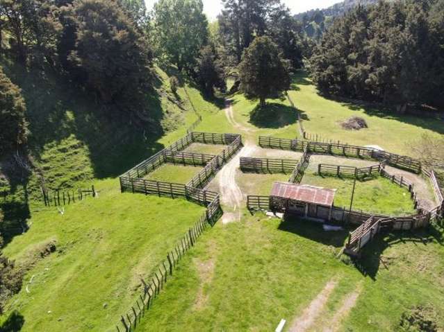 433 Pungapunga Valley Road Taumarunui_2