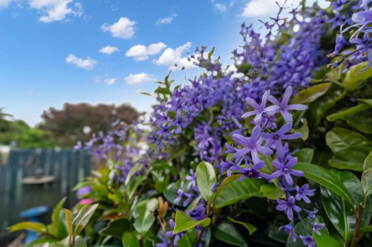 16 Simons Street Kensington_19