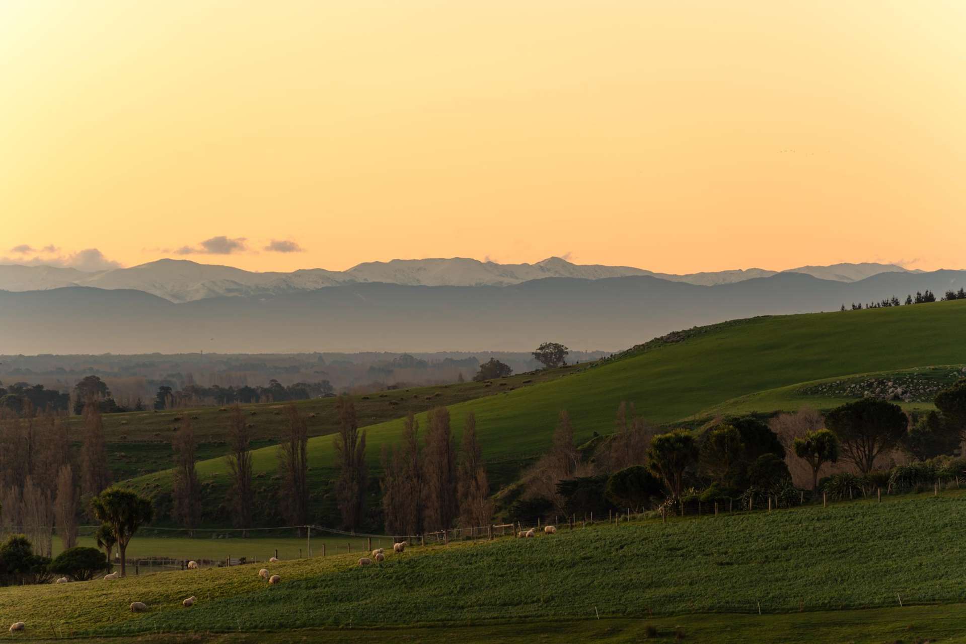 2/1269 Christchurch Akaroa Road Tai Tapu_0