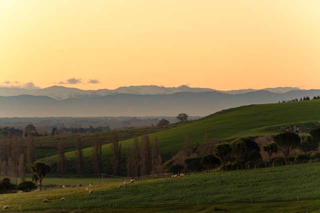 An Exceptional Section, A Remarkable Setting