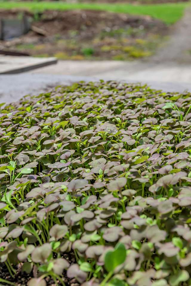 410A Whatitiri Road Poroti_4