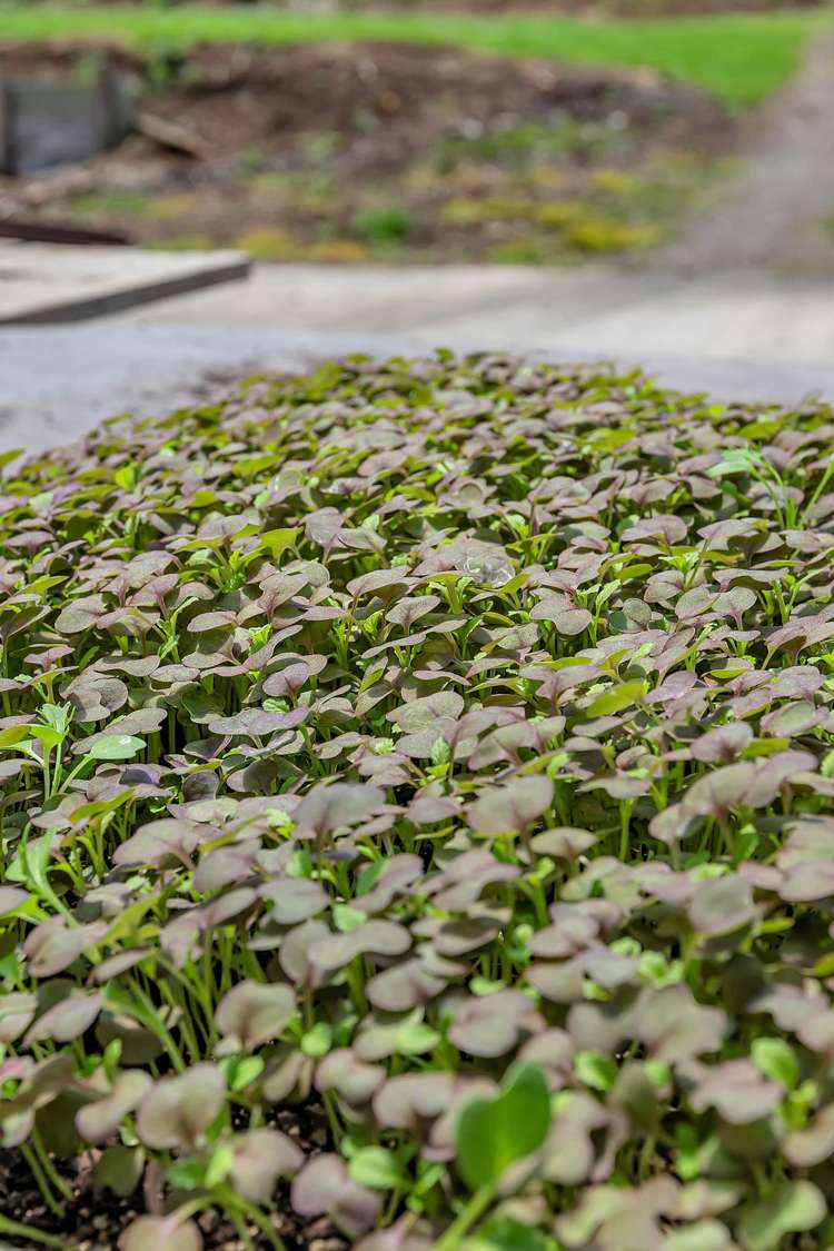 410A Whatitiri Road Poroti_4