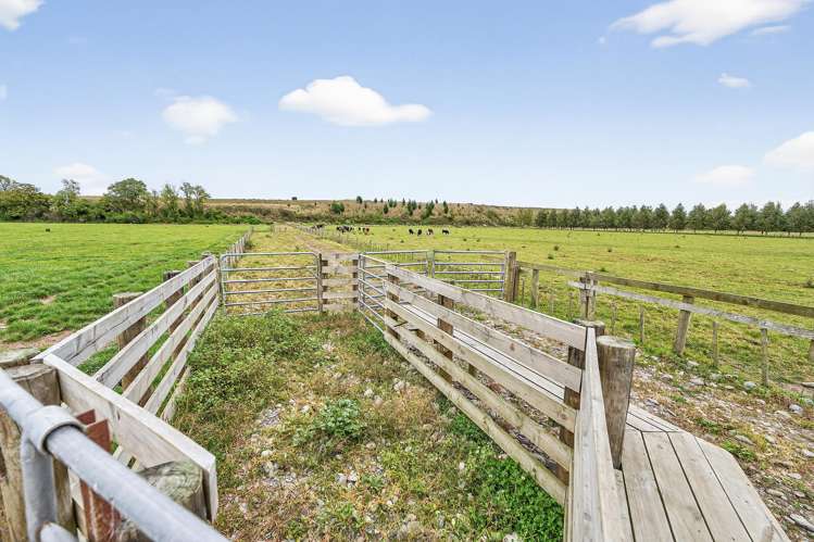 206 Almadale Road Cheltenham_11