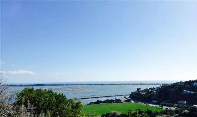 20 La Costa Lane Mount Pleasant_11