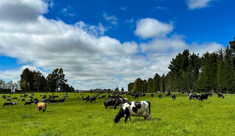 20 Longridge Village Road Winton Surrounds_15