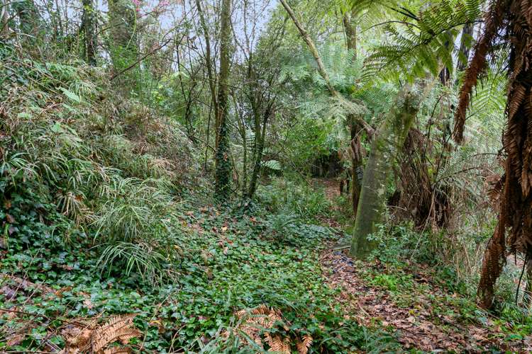 30 Freyberg Crescent Putaruru_20