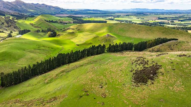 1157 The Peaks Road Hawarden_3