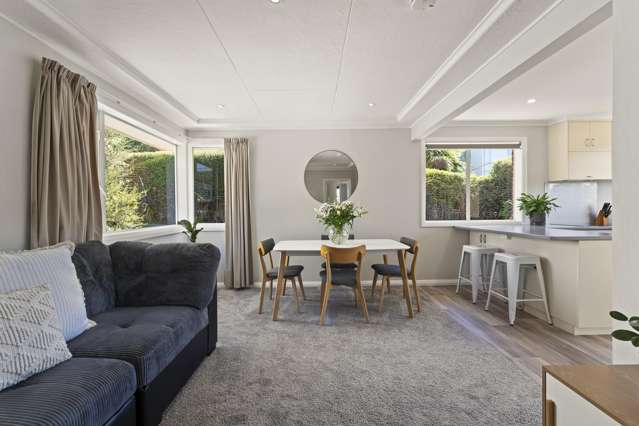 25 Duckworth Street Andersons Bay_4