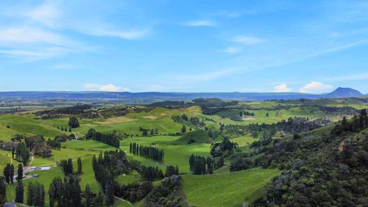 830 Manawahe Road Matata_7