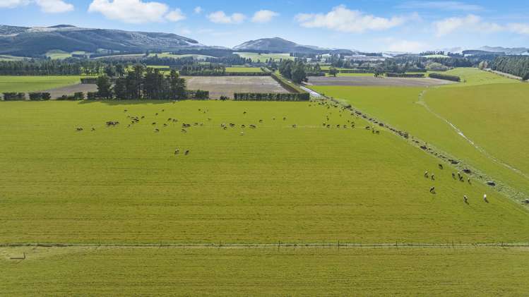 Windwhistle Road Windwhistle_8