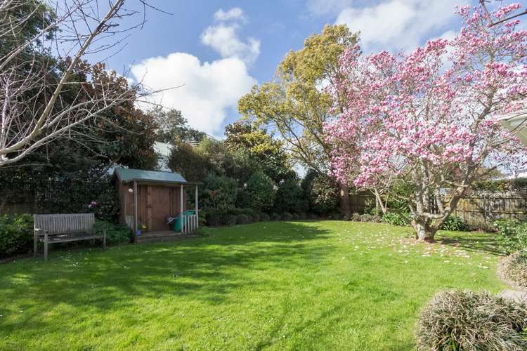 59 Gibraltar Street Howick_7