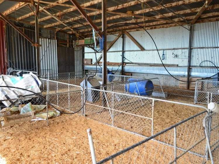 233a Papawai Road Greytown_29