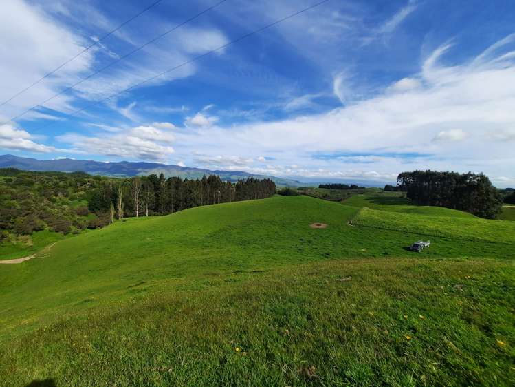 Lot 7, 560 Finnis Road Pohangina_12