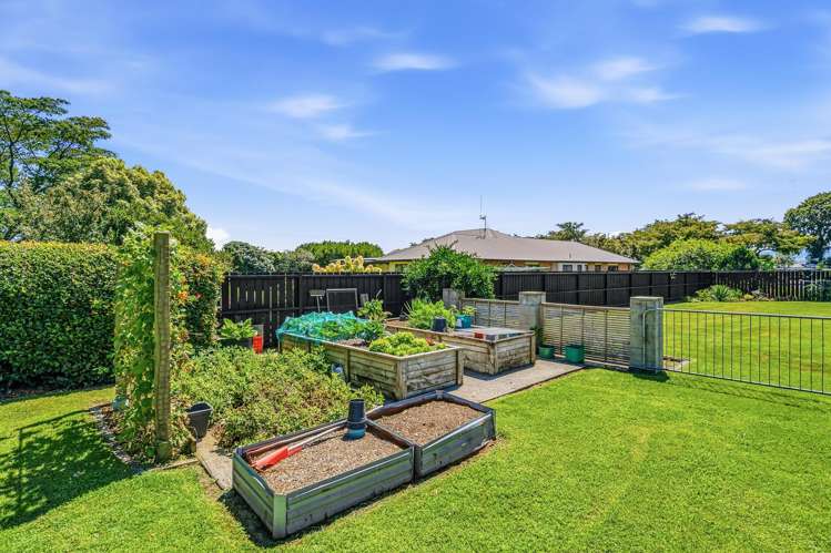 8 Odlum Drive Matamata_20