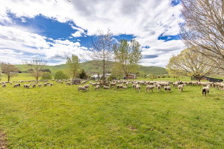 425 Te Kura Road Otane_33