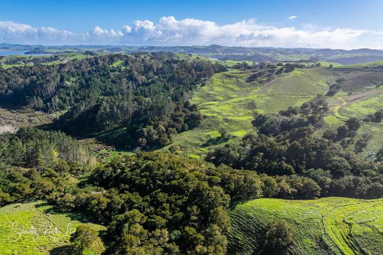 Massey Road Maungaturoto_34