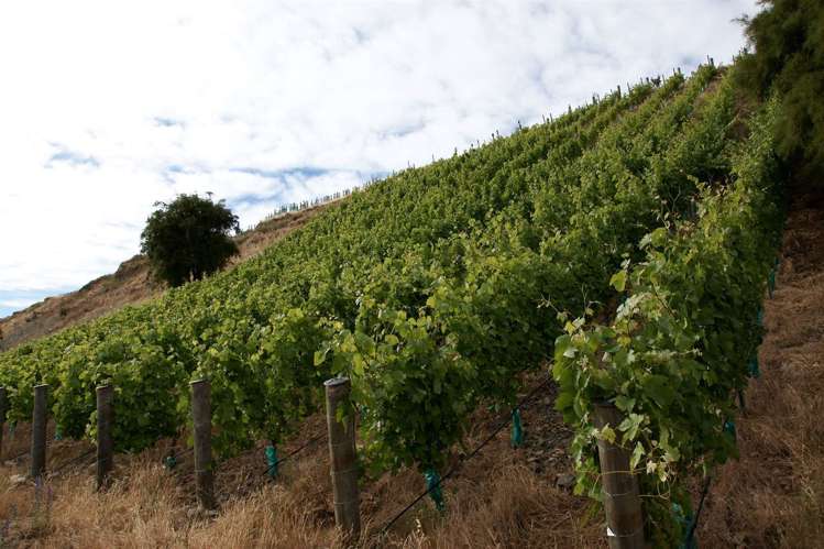 328 Georges Road Amberley_7