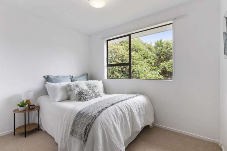 41 Cortina Avenue Johnsonville_7