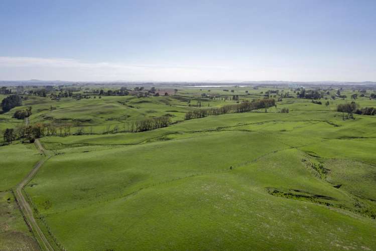 579 Hetherington Road Rotongaro_23