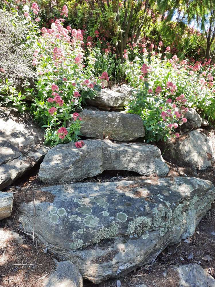 51 The Half Mile Alexandra_19