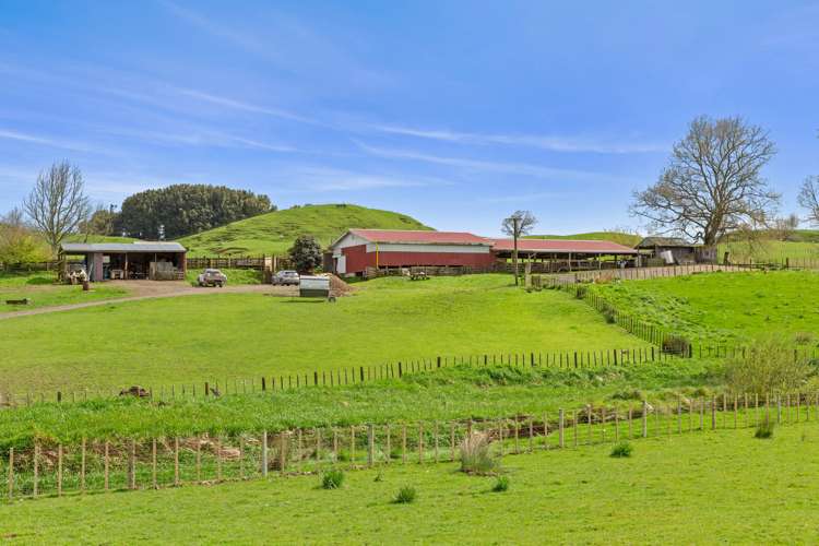 486 Ngatarawa Road Mahoenui_16