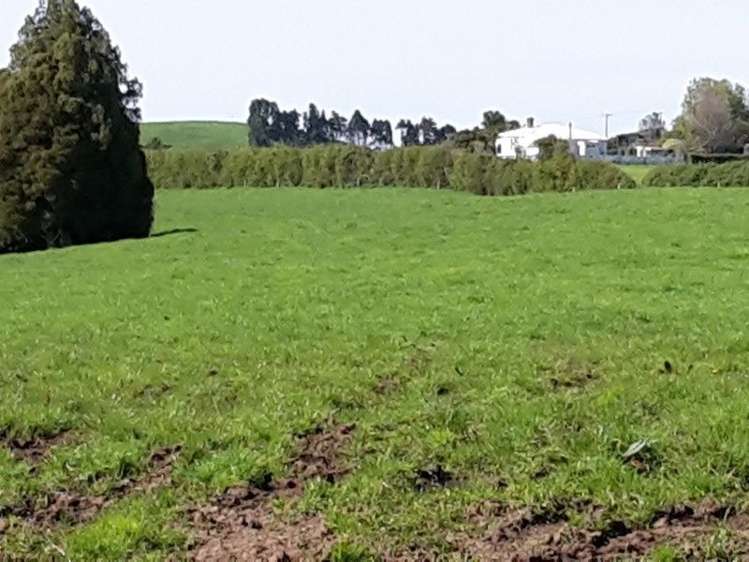 346 Rugby Road Tariki_85