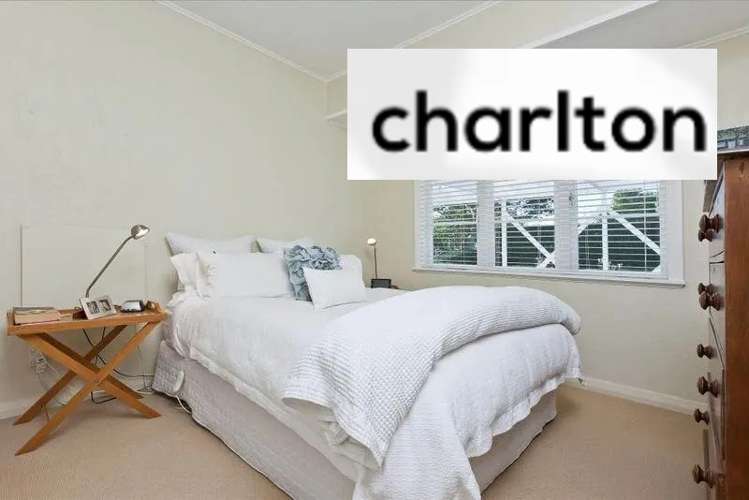 19 Sayegh Street Saint Heliers_7