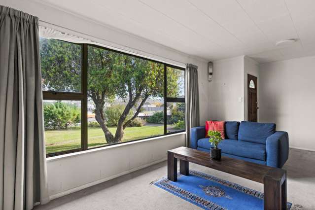 40 Ranfurly Street Tamatea_2