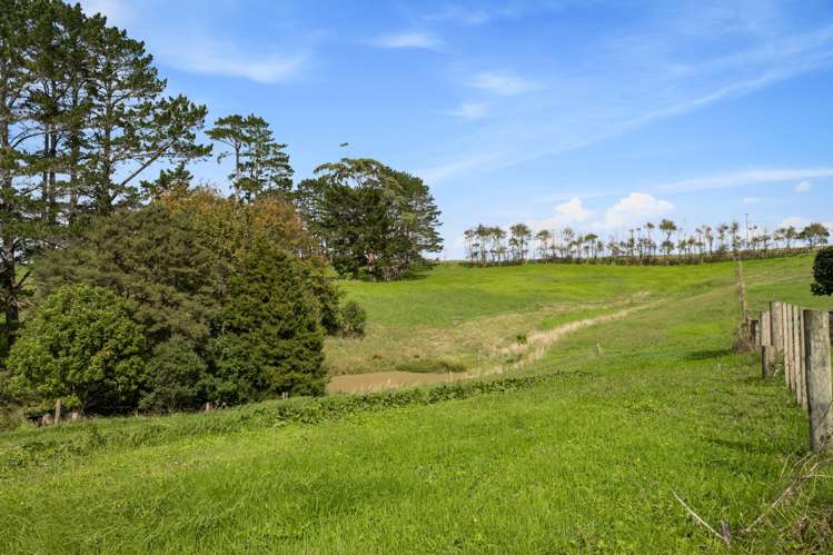 730 Horseshoe Bush Road_3