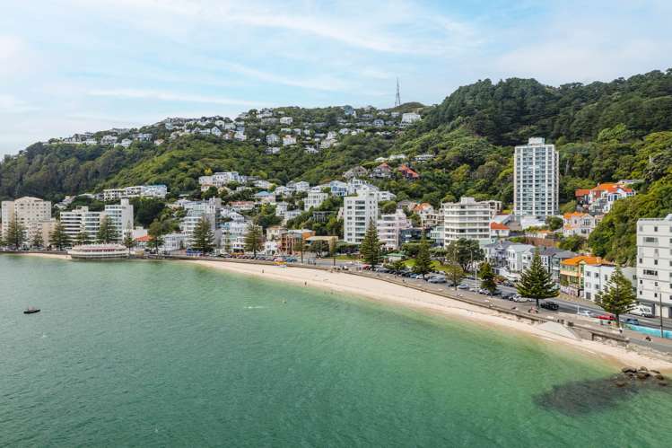 71 Hawker Street Mount Victoria_2