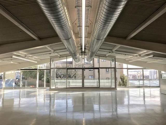 12 Churton Street Parnell_1