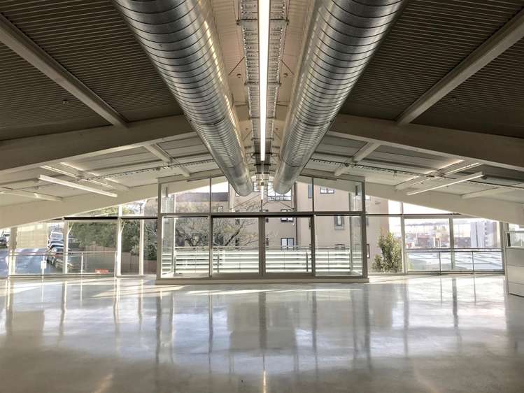 12 Churton Street Parnell_1