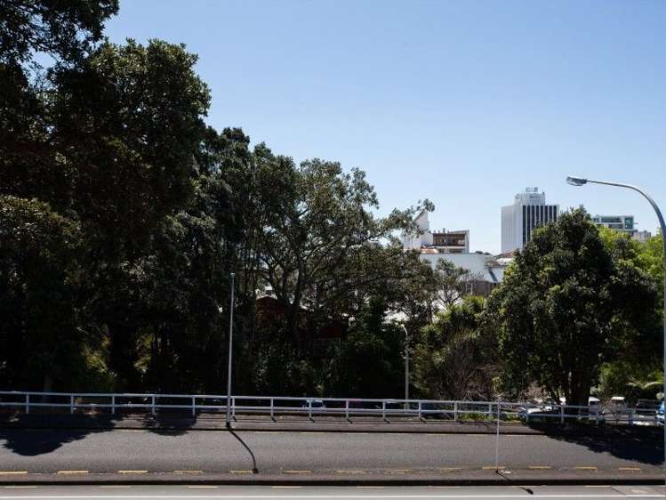 3/11 Dp Vivian Street Te Aro_22