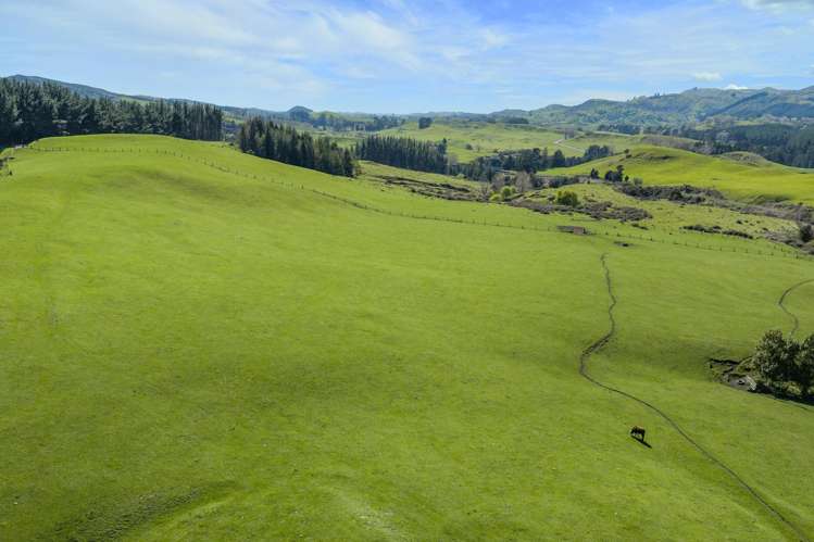 468 Waikoau Road Tutira_6