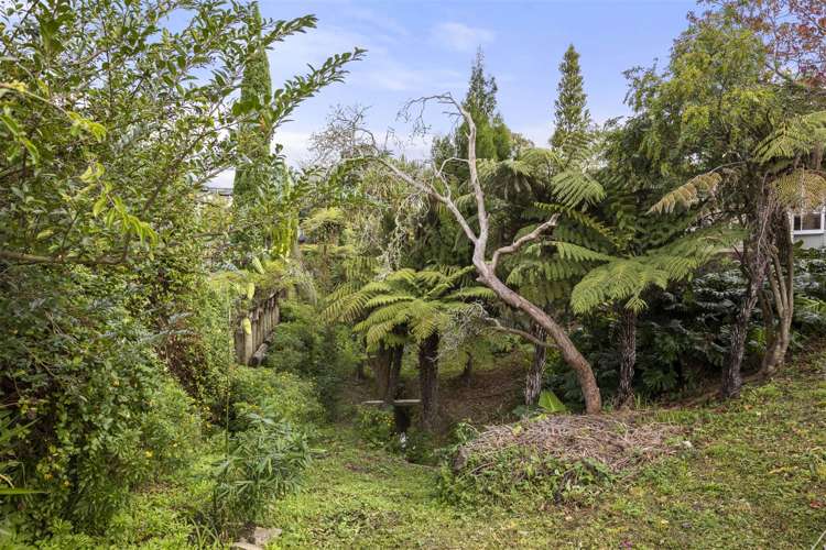 23 Willerton Avenue New Lynn_14